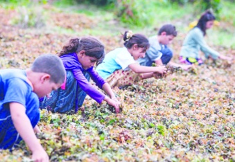 Antep’te son 11 yılda 40 çocuk işçi yaşamını yitirdi