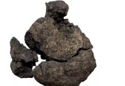 Çatalhöyük’te 8 bin 600 yıllık 'ekmek' bulundu