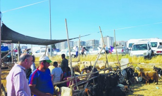 Üreticilerimize 9-12 milyon arasında katkı sağlamış olacağız