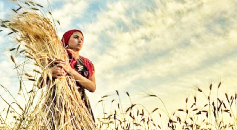 15 Ekim Dünya Kadın Çiftçiler Günü: “Toprak ana dertli”