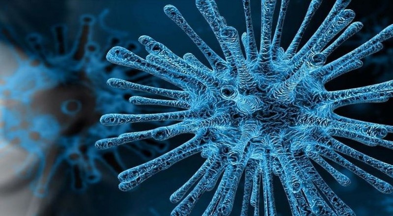 TEPAV Raporu: Koronavirüs Mayıs’ta zirve yapacak