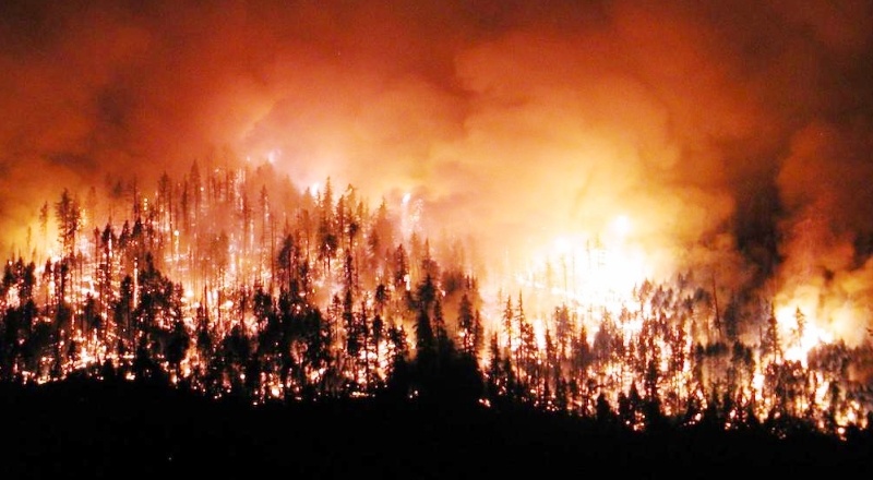 2020'de 2 bin 792 orman yangını çıktı