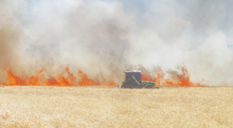 220 dönüm buğday tarlası yandı