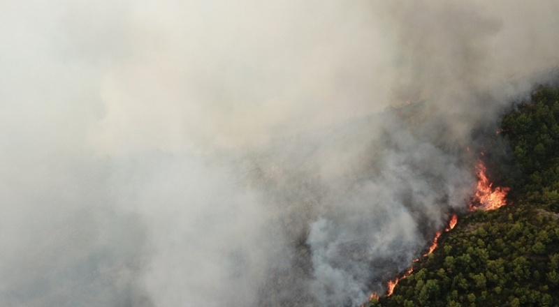 4 yılda 10 bin 665 orman yangını çıktı