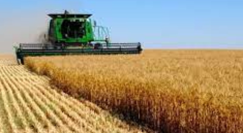 70 milyon ton buğday ithal edilip 20 milyar dolar ödendi