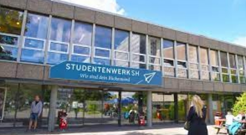 Almanya’ya öğrenci göçünde birinci Türkiye