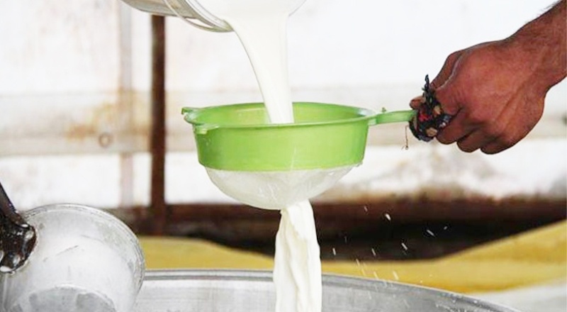 Artan maliyetle birlikte Türkiye Ziraat Odaları Birliği’nden çağrı: Süt fiyatı revize edilmeli
