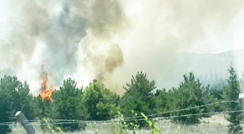 Atatürk Orman Çiftliği'nde yangın
