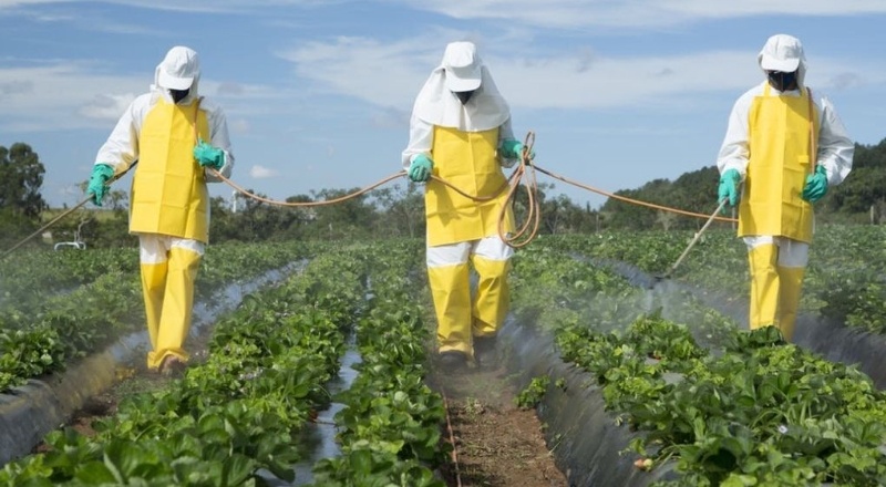Avrupa pestisitlere dayalı tarım sistemini değiştiriyor
