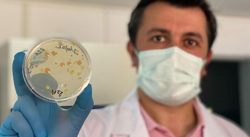 Bilim insanları, 6 ülkede 60 yeni tür bakteri keşfetti