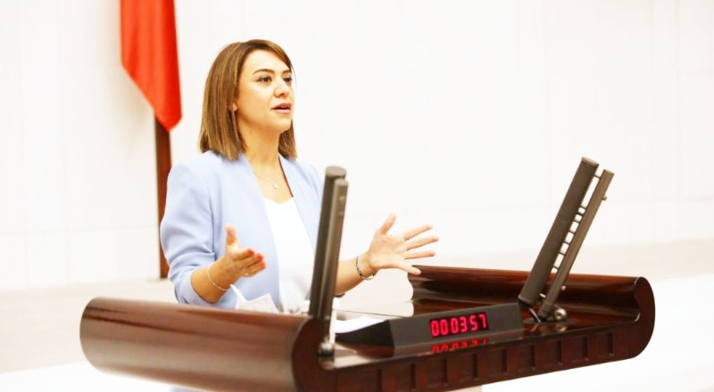 CHP Milletvekili Gamze Taşçıer: "Sağlık Bakanı 815 gündür sorularıma cevap vermiyor"