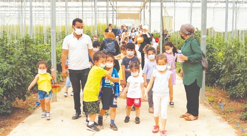 Çocuklar domates, biber ve patlıcan hasadı yaptı