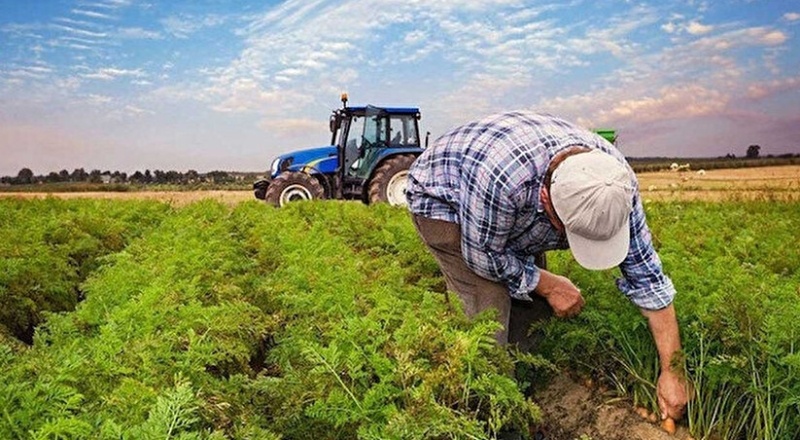 Dünya Bankası, Türkiye'ye 341 milyon dolarlık tarım kredisi verecek