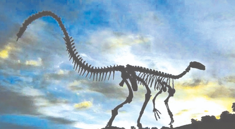 Dünyada 2.5 milyar T-rex dinozor türü yaşamış olabilir