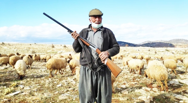Elinde tüfekle, kaybolan koyununu arayan çobana 974 TL ceza kesildi