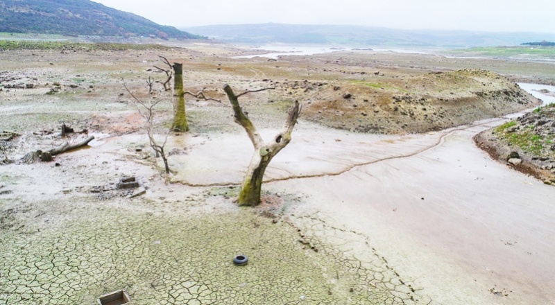 Güneydoğu Anadolu’da "olağanüstü" kuraklık söz konusu