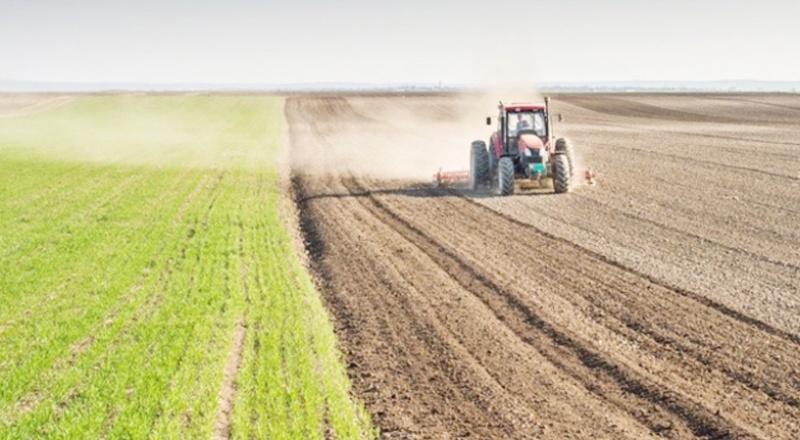 Haciz işlemi uygulanan tarım arazisi sayısı 6 yılda yüzde 101 arttı