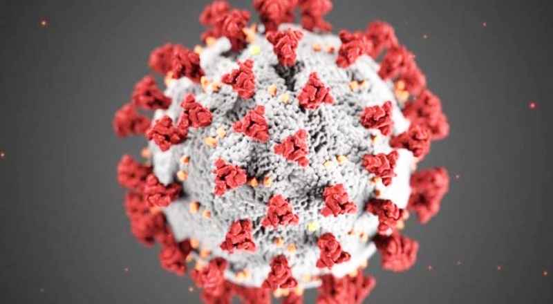 İngiltere'de endişe verici bir koronavirüs mutasyonu daha bulundu