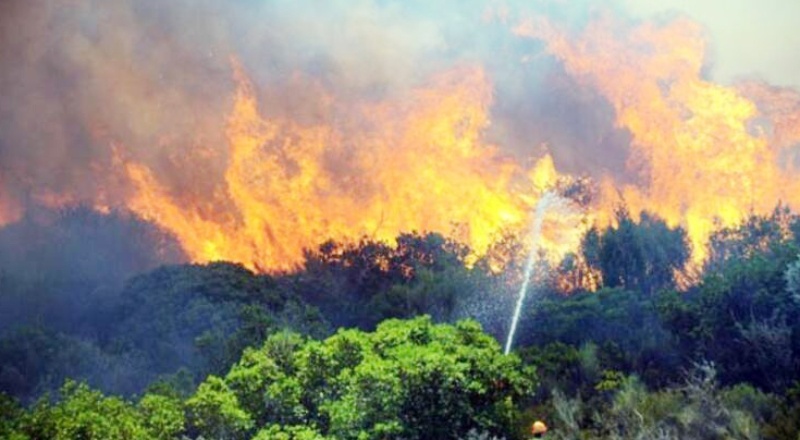 İnsan kaynaklı yangınlar sebebiyle tahrip olan orman alanlarının oranı yüzde 98