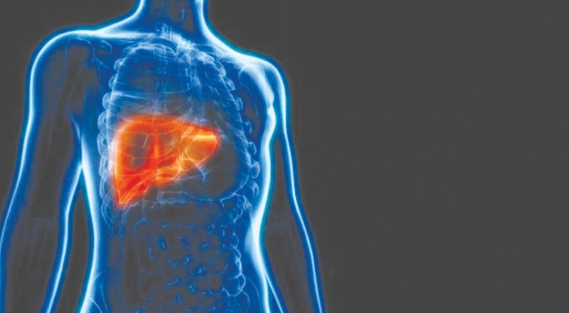 Karaciğer yağlanması siroz ve kansere yol açabilir