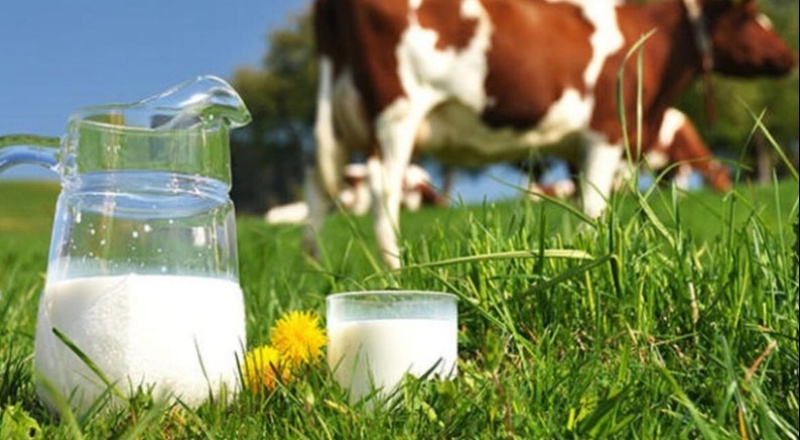 Kasımda süt üretimi yüzde 3,9 azaldı