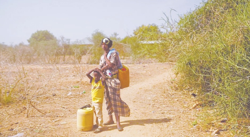 Kenya'da kuraklık: 2.1 milyon insan açlık tehlikesiyle karşı karşıya