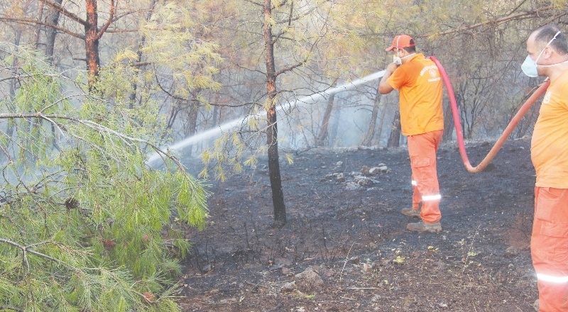 Kilis'teki orman yangını 5 buçuk saatte güçlükle kontrol altına alındı