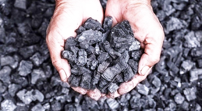 "Kömür termik santral yatırımlarından tamamen vazgeçilmeli"