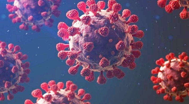 Koronavirüs diğer virüslerden neden farklı ve neden bu kadar öldürücü?