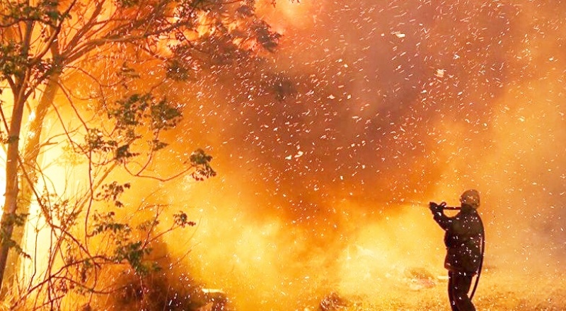 Meksika'da orman yangınları: 400'den fazla kişi tahliye edildi