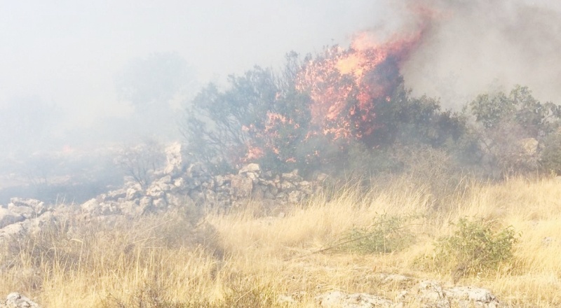 Nizip’te çıkan orman yangını kontrol altına alındı