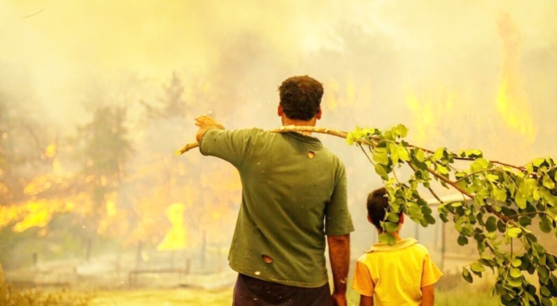 Orman yangınlarından etkilenen yerler 'Genel Hayata Etkili Afet Bölgesi' ilan edildi