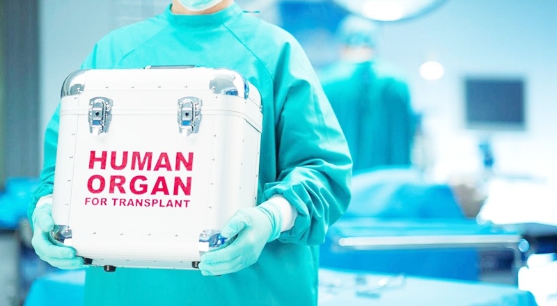 Pandemi bağışları azalttı, hastalar organ bekliyor