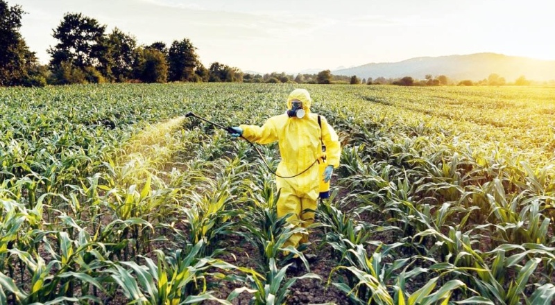 Pestisit zehirlenme sayısı arttı