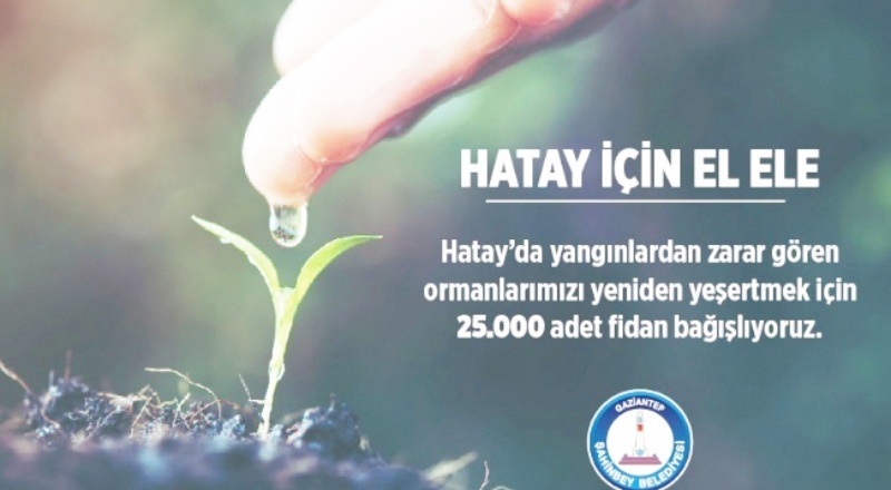 Şahinbey Belediyesi Hatay'a 25 bin fidan gönderecek