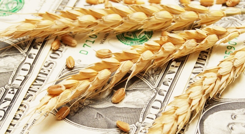 Tarımda üretici fiyatları aralık ayında yüzde 2,58, yıllık yüzde 21,24 arttı