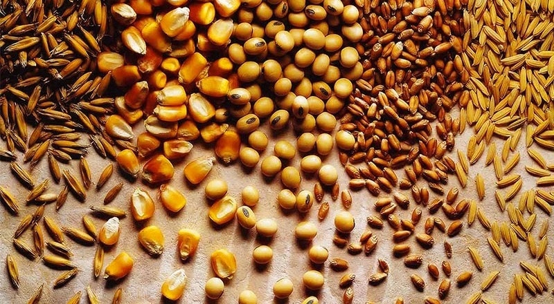 Toprak Mahsulleri Ofisi, 720 bin ton buğday ve arpa ithal etme hazırlığında