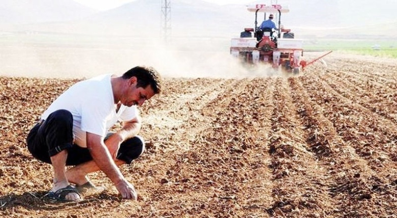 Türkiye'nin tarım emekçileri Dünya Çiftçiler Günü'nü 'kutlayamadı': Zararı telafi etmek artık çok zor
