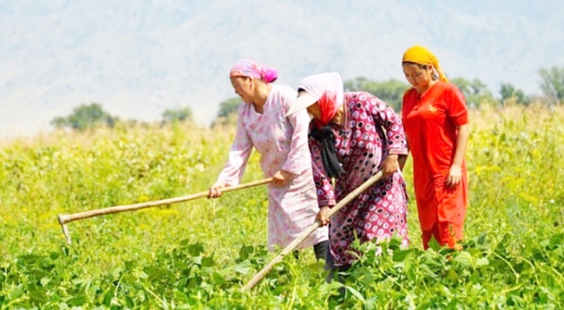 TZOB Genel Başkanı Bayraktar: “Tarımda çalışan kadınların yüzde 95’i sosyal güvenlik sistemine kayıtlı değil”