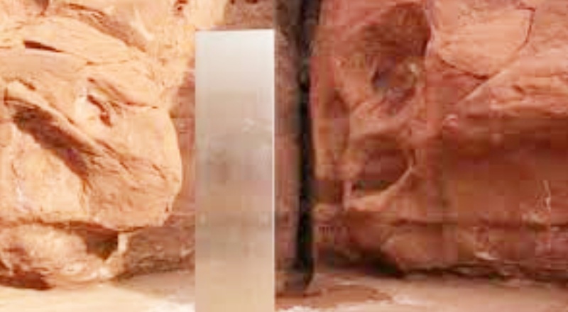 Utah'ta kırmızı taşların arasında "gizemli" bir monolit bulundu