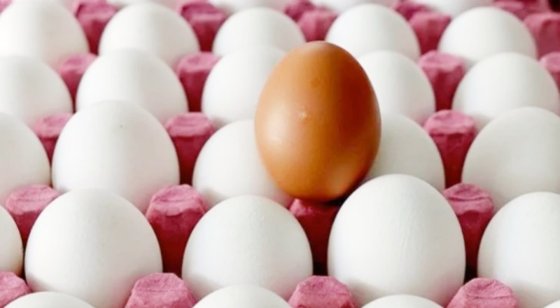 Yumurta fiyatları fırladı: Bir yılda yüzde 250 artış