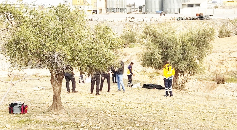 Zeytin ağacından düşen yaşlı adam hayatını kaybetti